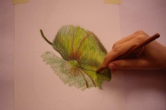 phoca_thumb_l_imgp3243