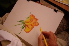 phoca_thumb_l_imgp3255